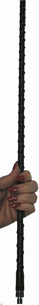 MFJ-2610T, HIGH POWER HAM STICK, 10M, 600W, 3/8-24